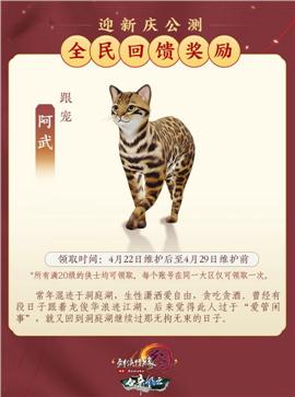 鸿利天龙八部私服